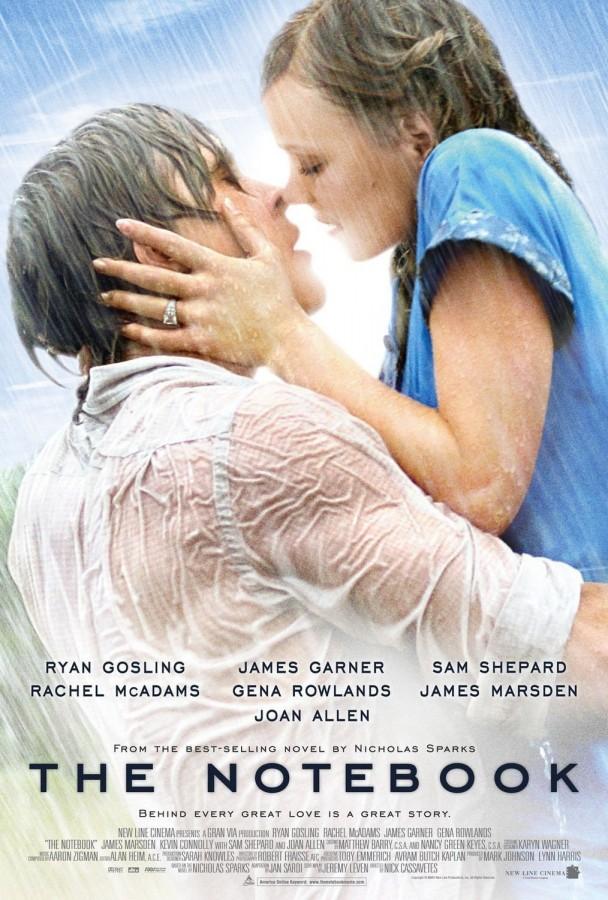 the notebook (2)